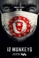 12 monos (Serie de TV)