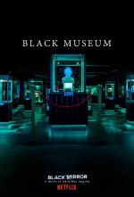 Black Mirror: Black Museum (TV)