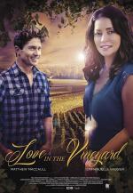 Donde te lleve el corazón (TV)