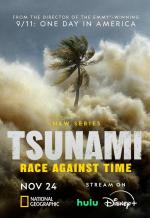 Tsunami: Race Against Time (TV Miniseries)